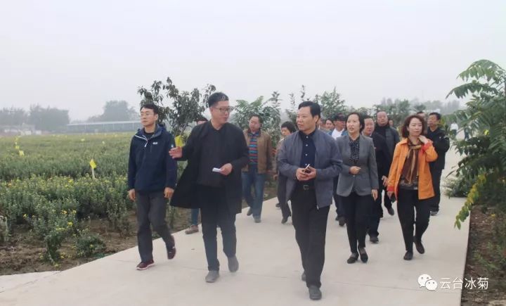 云臺冰菊基地發(fā)生了什么？一批批領(lǐng)導(dǎo)專家團(tuán)隊前來！